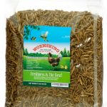 WORMSKING Dried Black Soldier Fly Larvae