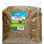 WORMSKING Dried Black Soldier Fly Larvae